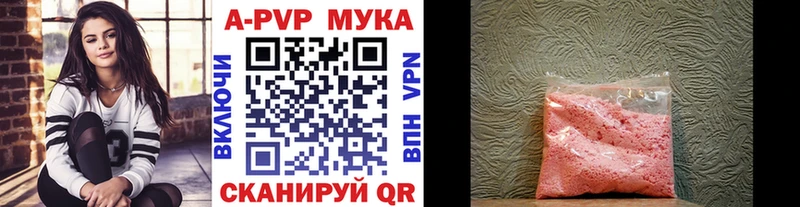 Alfa_PVP СК  Цоци-Юрт 