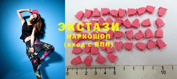 крисы Бородино
