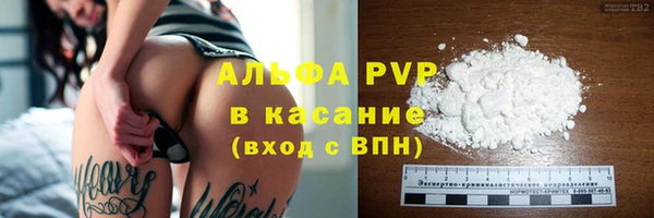 крисы Бородино