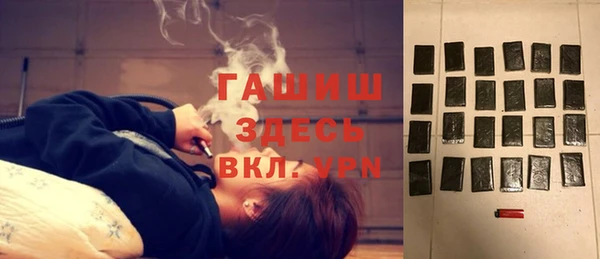 крисы Бородино