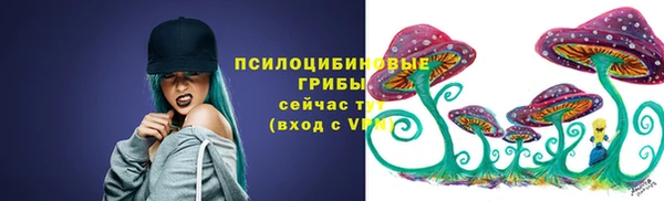 крисы Бородино
