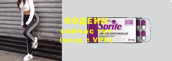 крисы Бородино
