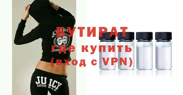 крисы Бородино