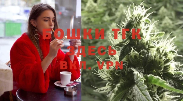 крисы Бородино
