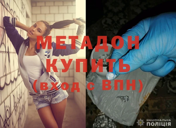 крисы Бородино