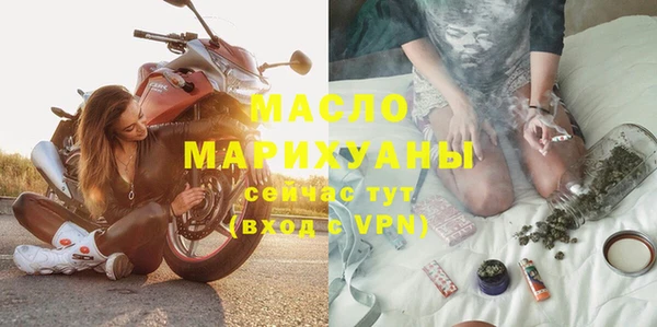 крисы Бородино