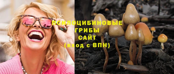 шишки Бугульма