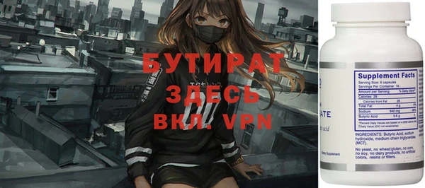 крисы Бородино