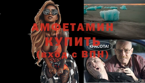крисы Бородино