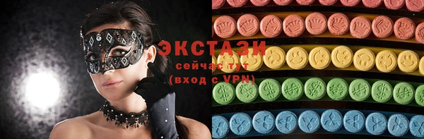 крисы Бородино