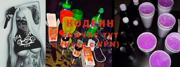 крисы Бородино