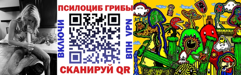 Псилоцибиновые грибы мухоморы  даркнет сайт  гидра ТОР  Цоци-Юрт 